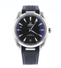 Seamaster 41mm